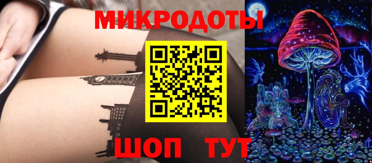 Королёв  Псилоцибиновые грибы Cubensis  Вход с VPN 