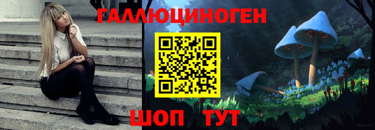 Псилоцибиновые грибы Psilocybe Королёв
